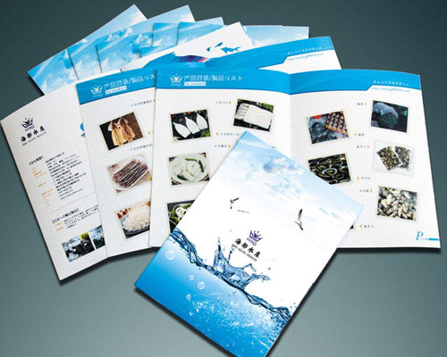 說明(míng)書畫冊