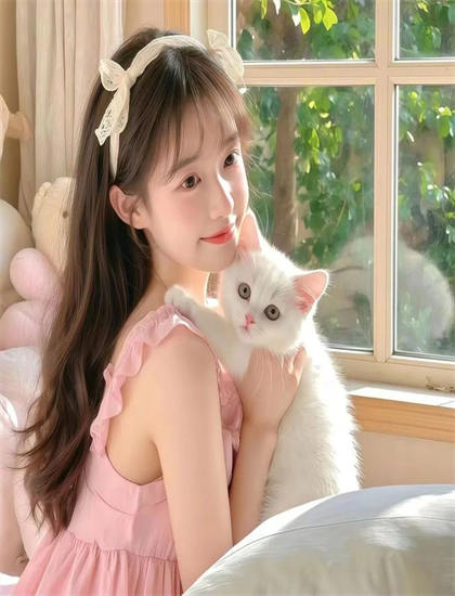 《优雅帝国》美学价值个人分析：艺术美感与审美特征探讨